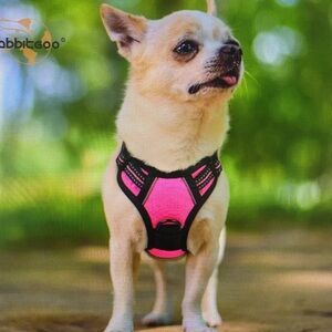 Rabbitgoo No Pull Pet Dog Harness Adjustable Padded Vest and Leash Hot Pink XS